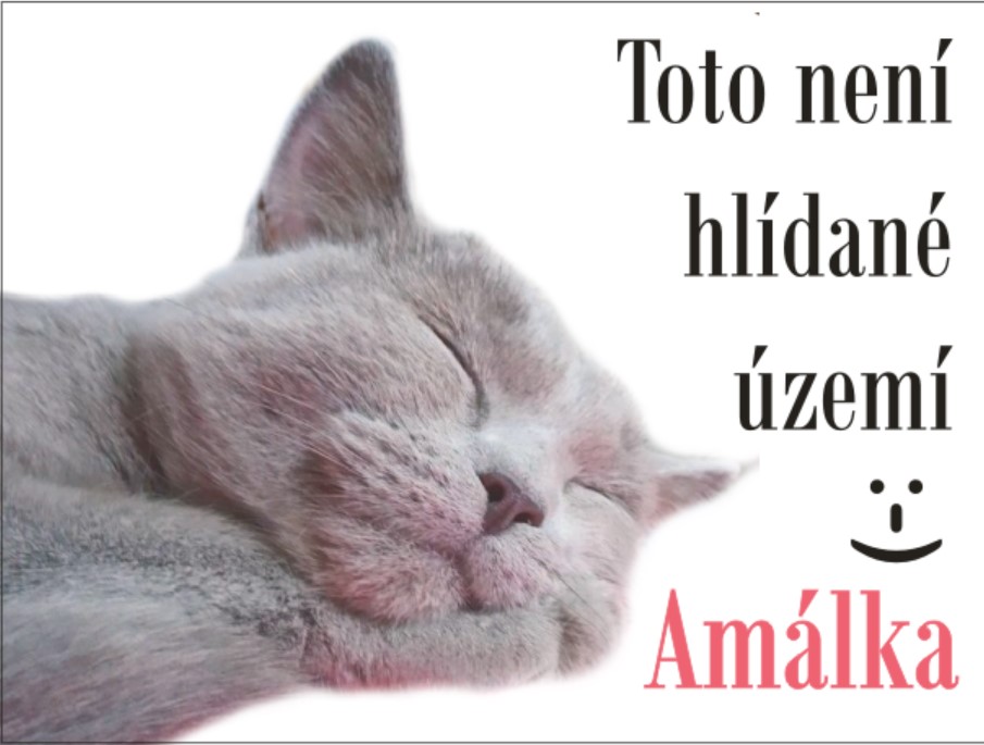 Cedulky "Tady hlídám já"