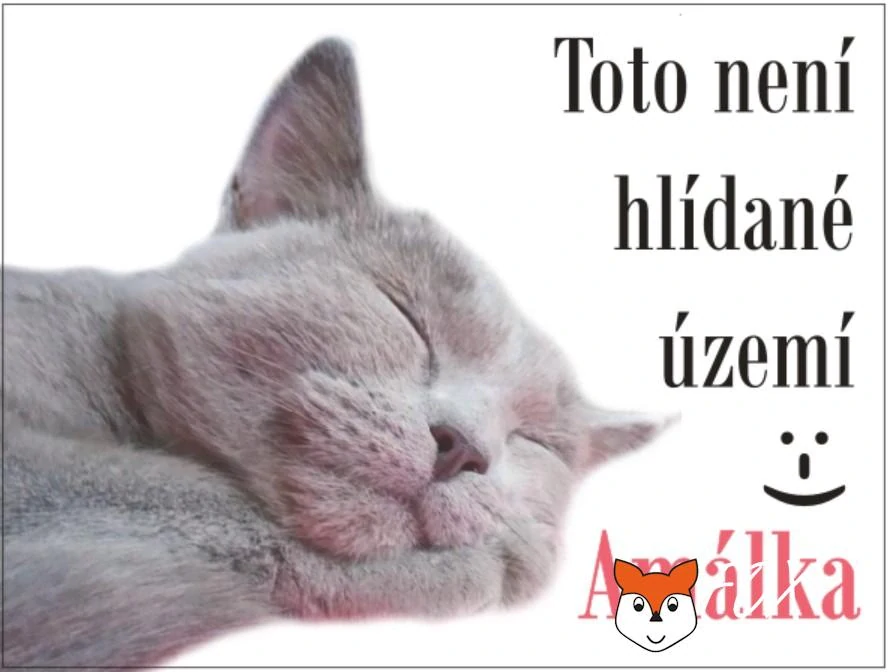 Cedulka na přání "TADY HLÍDÁM JÁ" - bílý podklad