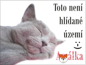Cedulka na přání "TADY HLÍDÁM JÁ" - bílý podklad