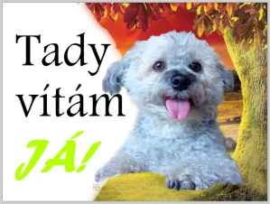 Cedulka na přání