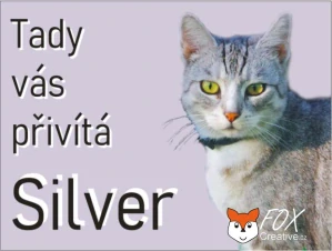 Cedulka na přání "TADY HLÍDÁM JÁ" - barevný podklad