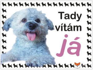 Cedulka na přání "TADY HLÍDÁM JÁ" - s rámečky siluet pejsků a bílým pozadím