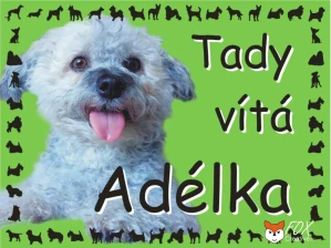 Cedulka na přání "TADY HLÍDÁM JÁ" - barevný podklad