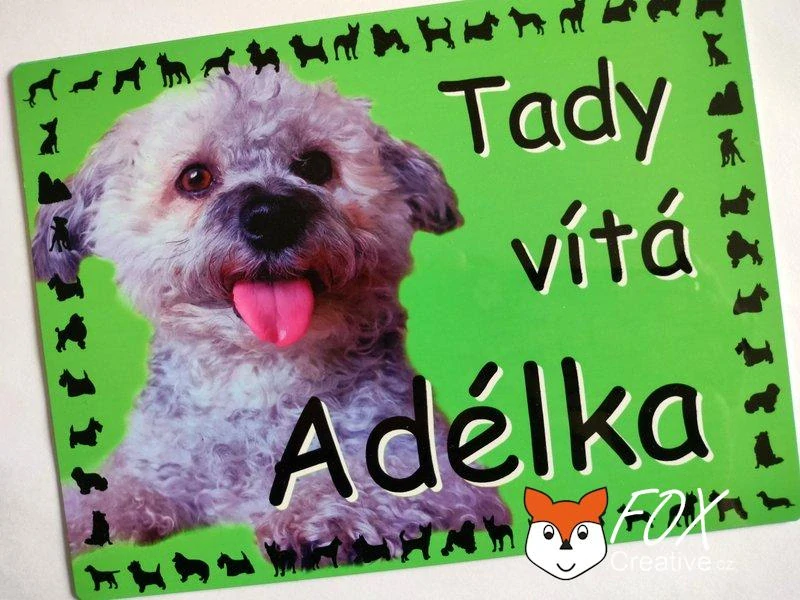 Cedulka na přání "TADY HLÍDÁM JÁ" - barevný podklad