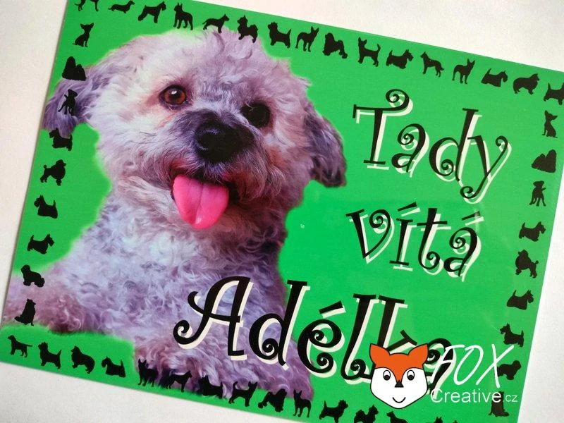 Cedulka na přání "TADY HLÍDÁM JÁ" - barevný podklad