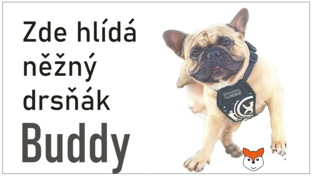 Cedulka na přání "TADY HLÍDÁM JÁ" - bílý podklad
